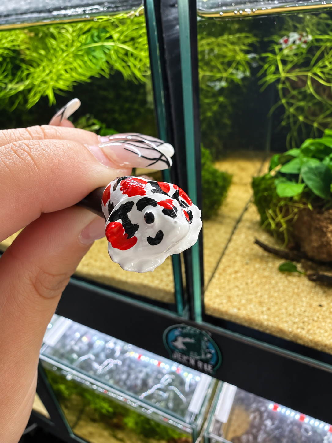 Bâton de parade tête de Betta – Koi rouge, noir  blanc