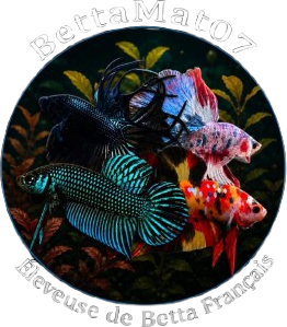 BettaMat07